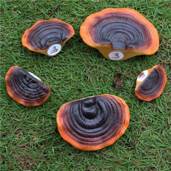 Set of 5 Mushroom Wall Shelves Small Floating Resin Shelves for Home Decor - Picture 6 of 7